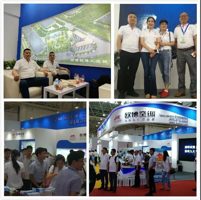 1657781436672612.jpg 20180521_114819_147