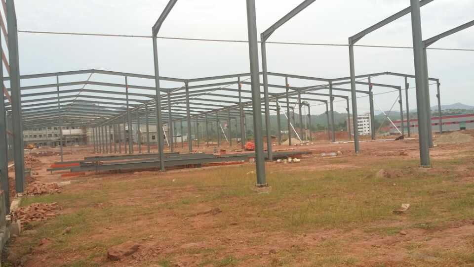 1658129537493405.jpg 20140719_145907_100