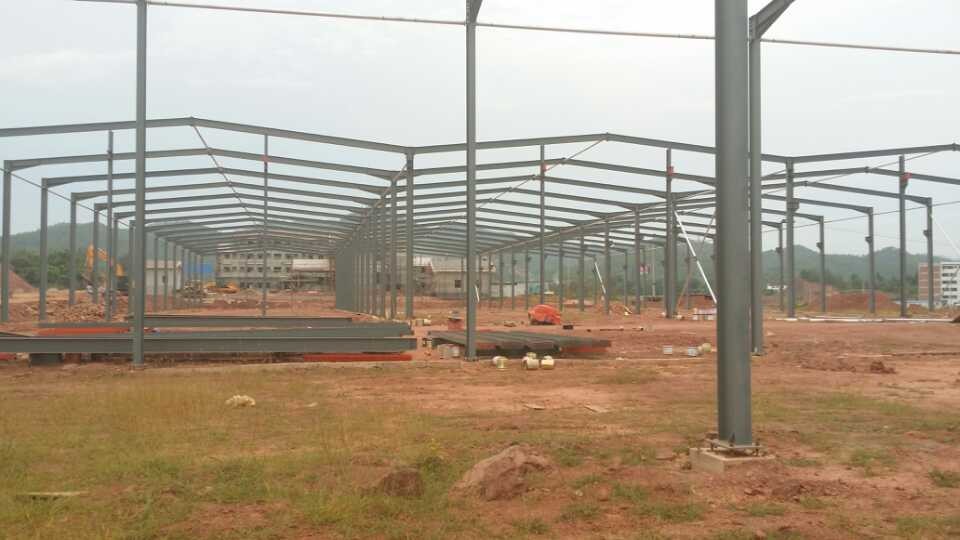 1658129557869243.jpg 20140719_145948_172