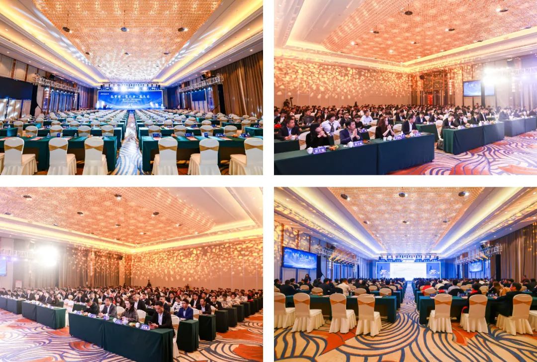 1708323413883217.jpg 640 (1)