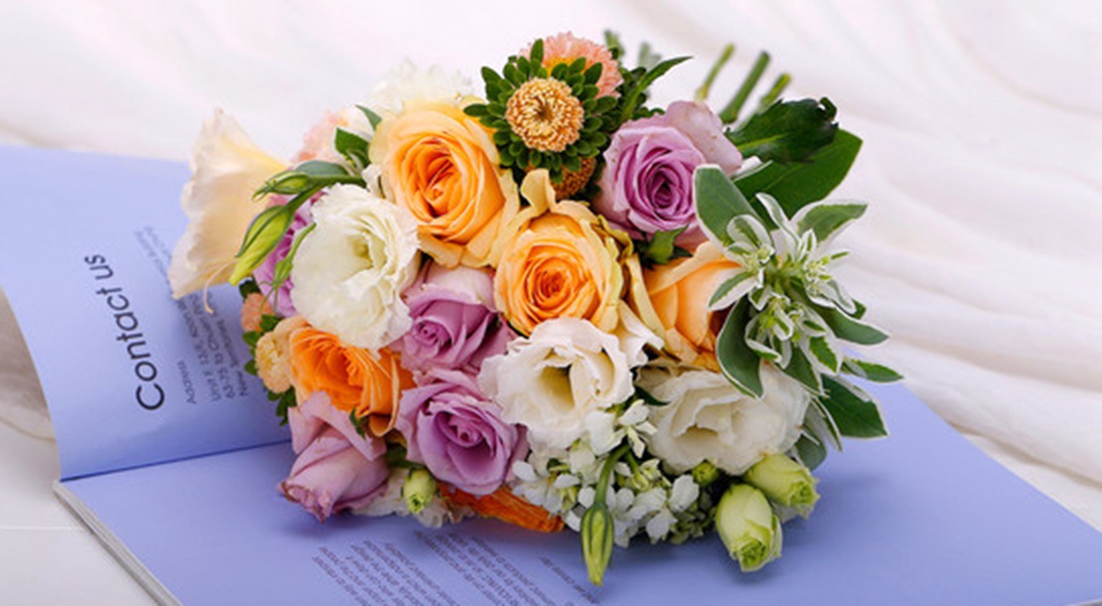 1709804526283194.jpg 611