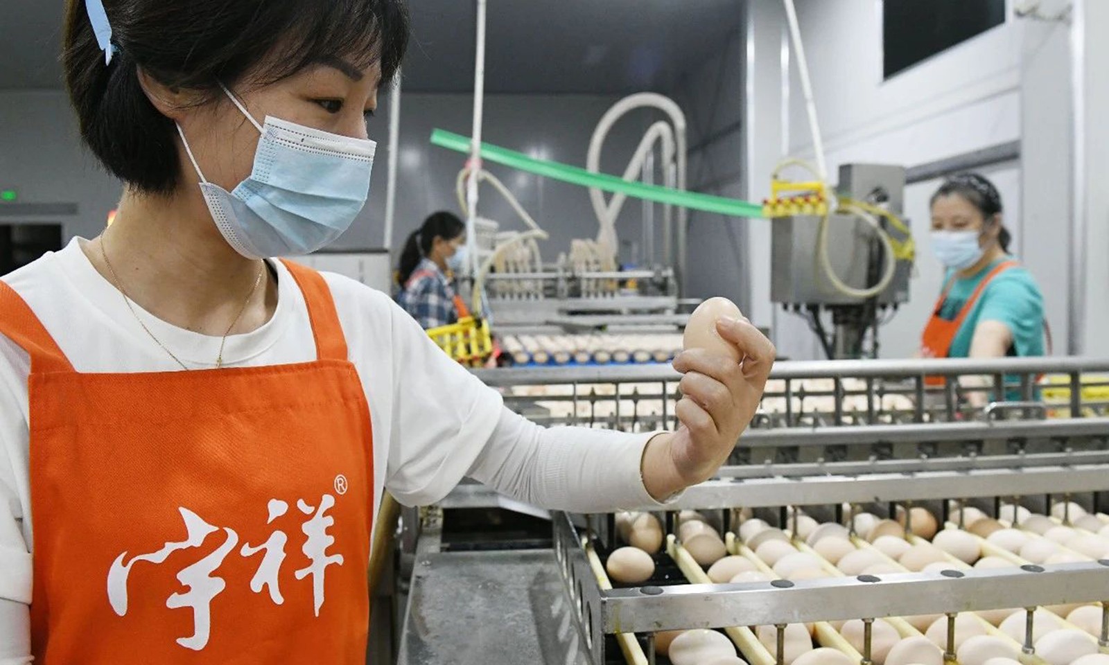 微信图片_20250211141449