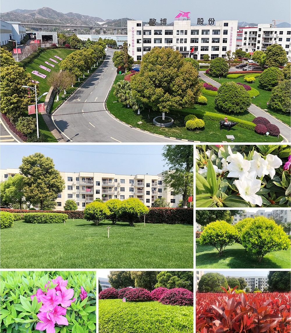 1742804121956087.jpg 000