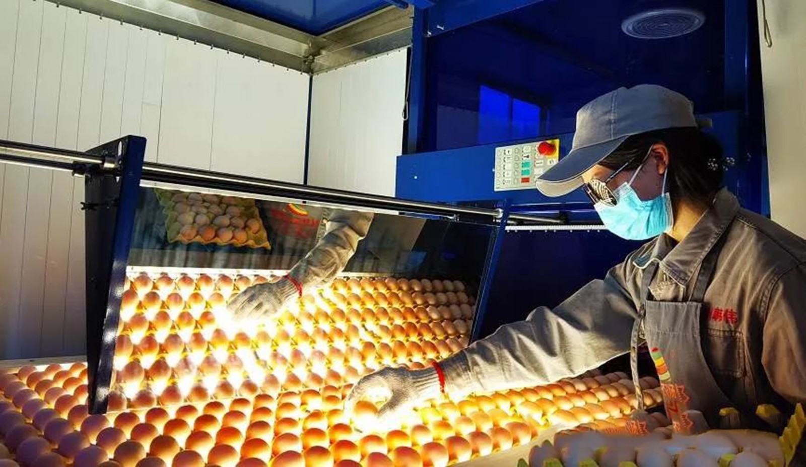 1757293989179932.jpg 6